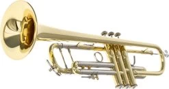 Bach Stradivarius 180-72G -Ich möchte mein Musikinstrument. 02045025 5lzqfida1iLVjy 1280x1280