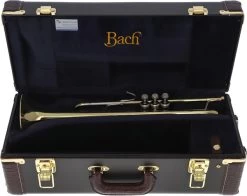 Bach Stradivarius 180-72G -Ich möchte mein Musikinstrument. 02045025 9DMufhxPrzbwmi 1280x1280