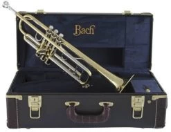 Bach Stradivarius 190-43 -Ich möchte mein Musikinstrument. 02045131 57gayCIsX8rQ4y 1280x1280