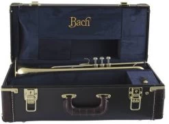 Bach Stradivarius 190-43 -Ich möchte mein Musikinstrument. 02045131 6AD09SwuWFwk3w 1280x1280
