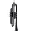 PTrumpet Schwarz -Ich möchte mein Musikinstrument. 02195005 04364Nox6PZ7ico 1280x1280