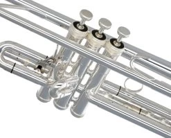 King Silver Flair 2055T -Ich möchte mein Musikinstrument. 02310001 2Vl4pW9TWggy40 1280x1280