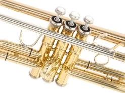 Reisser Academia RTR-180G -Ich möchte mein Musikinstrument. 02521021 4 1280x1280