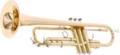 Reisser Academia RTR-180G -Ich möchte mein Musikinstrument. 02521021 7 1280x1280