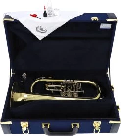 B&S 17/2TR-L -Ich möchte mein Musikinstrument. 04040001 8 1280x1280