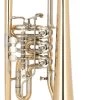 Miraphone 24R1100A100 -Ich möchte mein Musikinstrument. 044000072g3t2P9kyqJVa 1280x1280