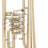 Miraphone 25 1100A100 -Ich möchte mein Musikinstrument. 04400015 1280x1280