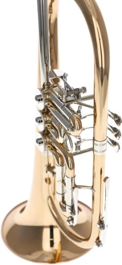 Reisser Academia RFH-120T -Ich möchte mein Musikinstrument. 04521001 35puTmjoyRpvTy 1280x1280