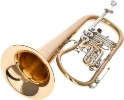 Reisser Academia RFH-120T -Ich möchte mein Musikinstrument. 04521001 5EPCNHweK4fP4n 1280x1280