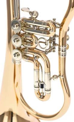 Worischek D16 -Ich möchte mein Musikinstrument. 04709005 3gwBCECPytpmCH 1280x1280