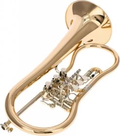 Worischek D16 -Ich möchte mein Musikinstrument. 04709005 4N1JuEPLnrDCPr 1280x1280