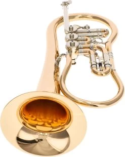 Worischek D16 -Ich möchte mein Musikinstrument. 04709005 52S0wcxHJ5OOqT 1280x1280