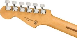 Fender Player Plus Strat MN - TQS -Ich möchte mein Musikinstrument. 114162387 05LT2C8WK6r2M8j 1280x1280
