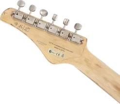 FGN Customized Iliad - Vintage Blonde -Ich möchte mein Musikinstrument. 115161901 6 1280x1280