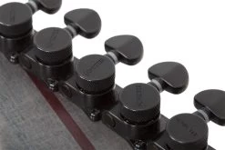 Schecter Apocalypse PT Red Reign -Ich möchte mein Musikinstrument. 115562031 09 1280x1280