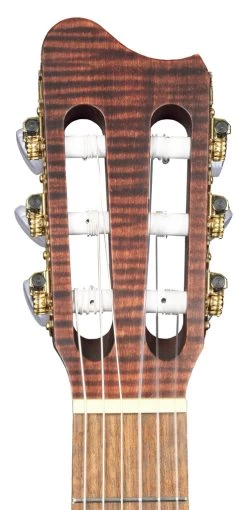 Amano 1C-SN -Ich möchte mein Musikinstrument. 131240003 04 1280x1280