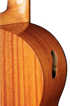 Amano 4C-SN -Ich möchte mein Musikinstrument. 131240015 02tsjgd40EpFFJk 1280x1280