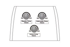 Ibanez PA300E-NSL Platinum Collection -Ich möchte mein Musikinstrument. 132275531 12 1280x1280