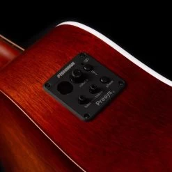 Seagull Entourage Autumn Burst Presys II 6 Seagull Entourage Autumn Burst Presys II -Ich möchte mein Musikinstrument. 132550083 02n 1280x1280