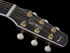 Seagull Artist Mosaic CW HG Anthem EQ -Ich möchte mein Musikinstrument. 132550121 05 1280x1280