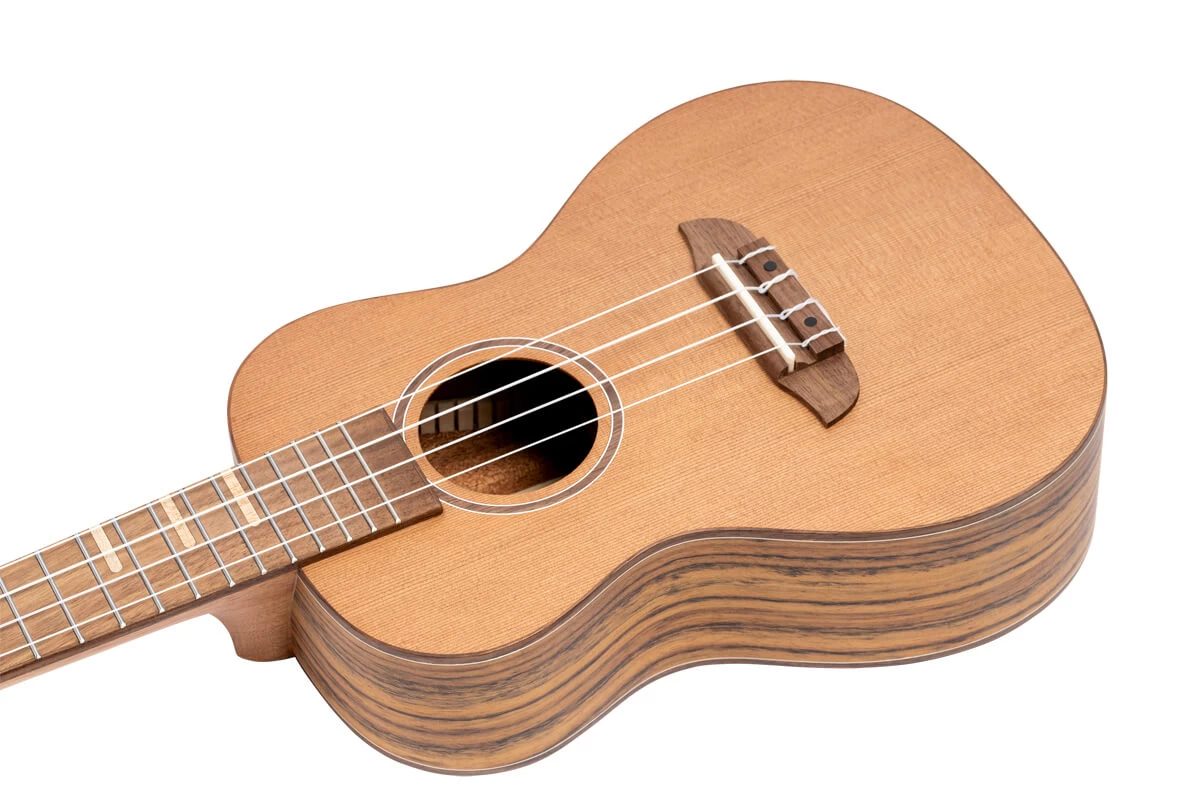 Ortega RUTI-CC-L - SHOWROOM 9 Ortega RUTI-CC-L - SHOWROOM – Bild 7