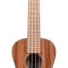 Kala KA-SMHC Solid Mahogany -Ich möchte mein Musikinstrument. 133700161 1280x1280