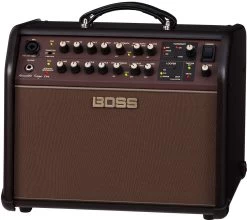 Roland Boss Acoustic Singer Live