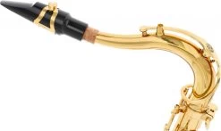 Jupiter JTS1100Q -Ich möchte mein Musikinstrument. 18285039 5 1280x1280