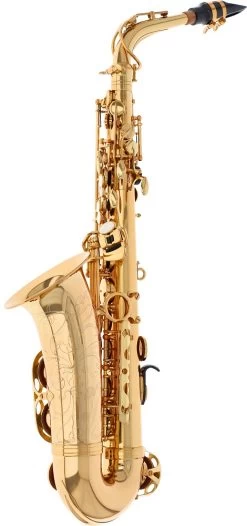 Reisser Academia RAS-48 -Ich möchte mein Musikinstrument. 18521011 2VoCBfgwyVpj31 1280x1280