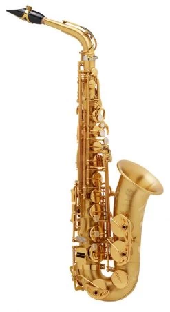 Selmer Signature SE-ASIM