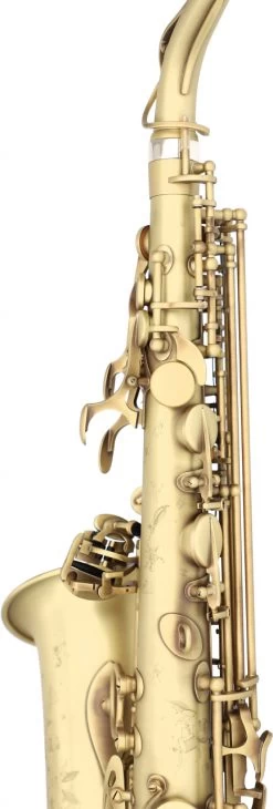 Selmer Supreme SE-ASUP -Ich möchte mein Musikinstrument. 18595060 7ALeducx6OIxER 1280x1280