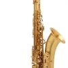 Selmer Signature SE-TSIM -Ich möchte mein Musikinstrument. 18595075xW3jJ2vPqYf0t 1280x1280