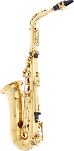 Trevor James Alphasax 371A -Ich möchte mein Musikinstrument. 18655001 2CR30j9REoGW5q 1280x1280