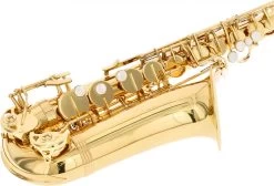 Trevor James Alphasax 371A -Ich möchte mein Musikinstrument. 18655001 4kBjHc6K5s1lvr 1280x1280