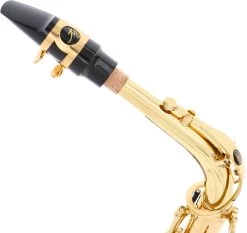 Trevor James Alphasax 371A -Ich möchte mein Musikinstrument. 18655001 6Vf2vqAaLKlADL 1280x1280