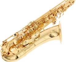 Yanagisawa T-WO1 Professional -Ich möchte mein Musikinstrument. 18745028 4 1280x1280