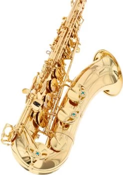Yanagisawa T-WO1 Professional -Ich möchte mein Musikinstrument. 18745028 5 1280x1280