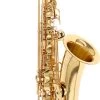 Yanagisawa T-WO10 Elite -Ich möchte mein Musikinstrument. 18745030 1xmzXKj6WgCCgs 1280x1280