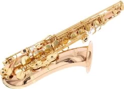 Yanagisawa T-WO20 Elite -Ich möchte mein Musikinstrument. 18745032 4 1280x1280