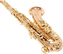 Yanagisawa T-WO20 Elite -Ich möchte mein Musikinstrument. 18745032 5 1280x1280