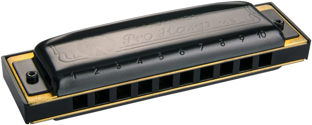 Hohner Pro Harp MS E