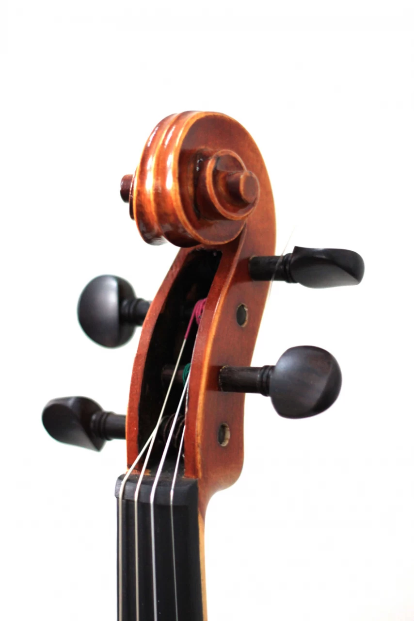 Reisser Academia Pro 1/4 4 Reisser Academia Pro 1/4 – Bild 2